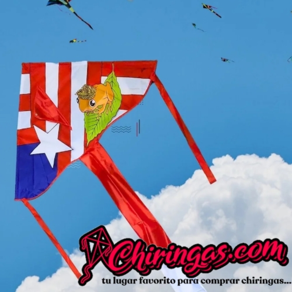 Red and Blue Bird Kite